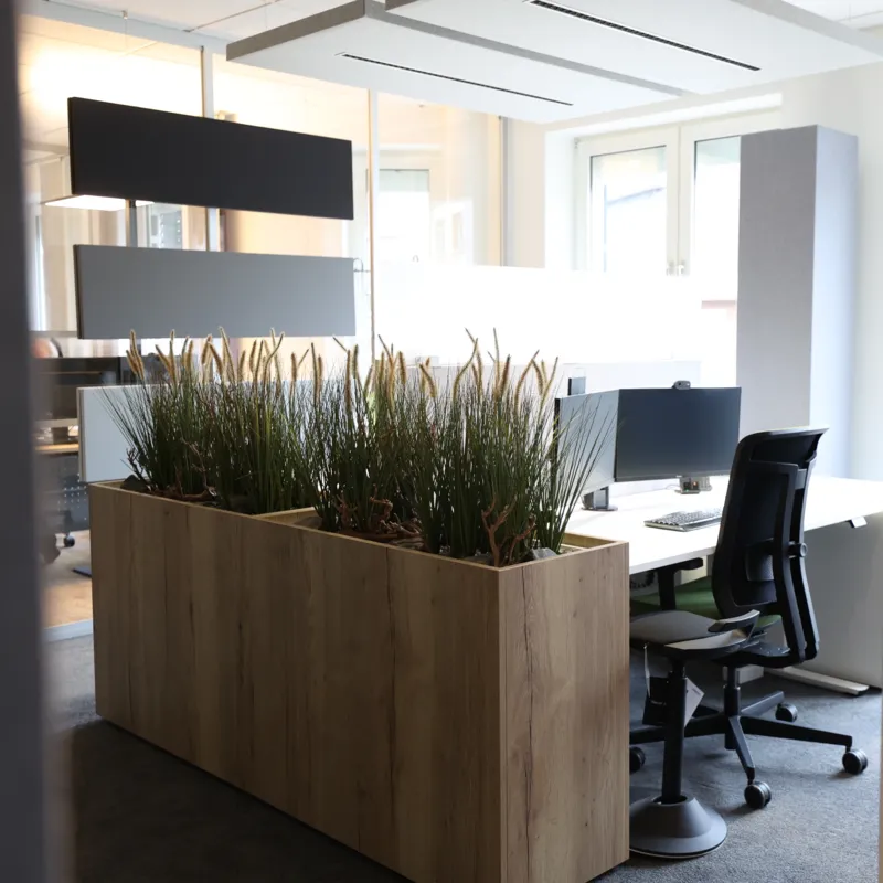 Showroom (zweite Ansicht)